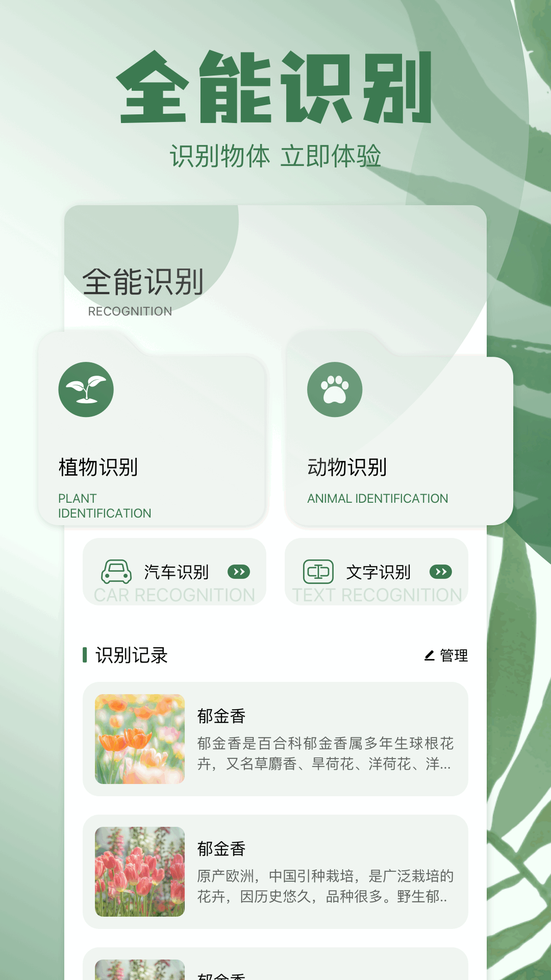 神奇工具截图