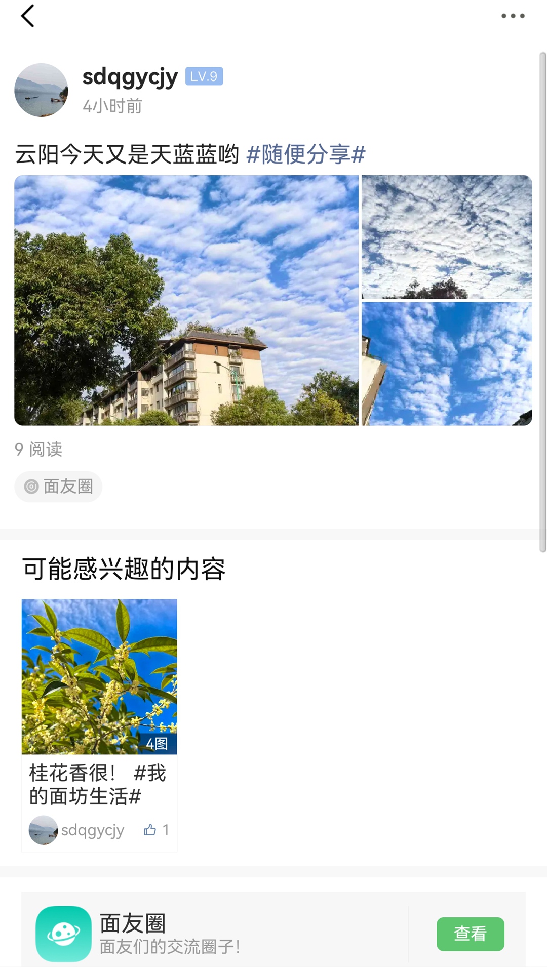 重庆鲜面条截图