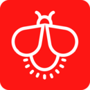 萤火壁纸电脑版