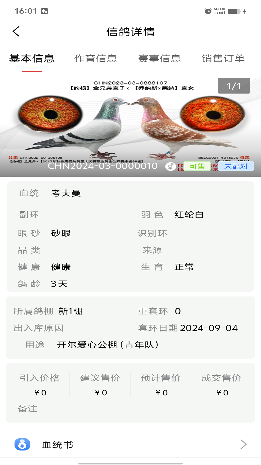 信鸽云截图