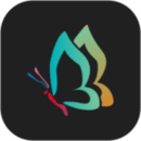 秀秀壁纸电脑版