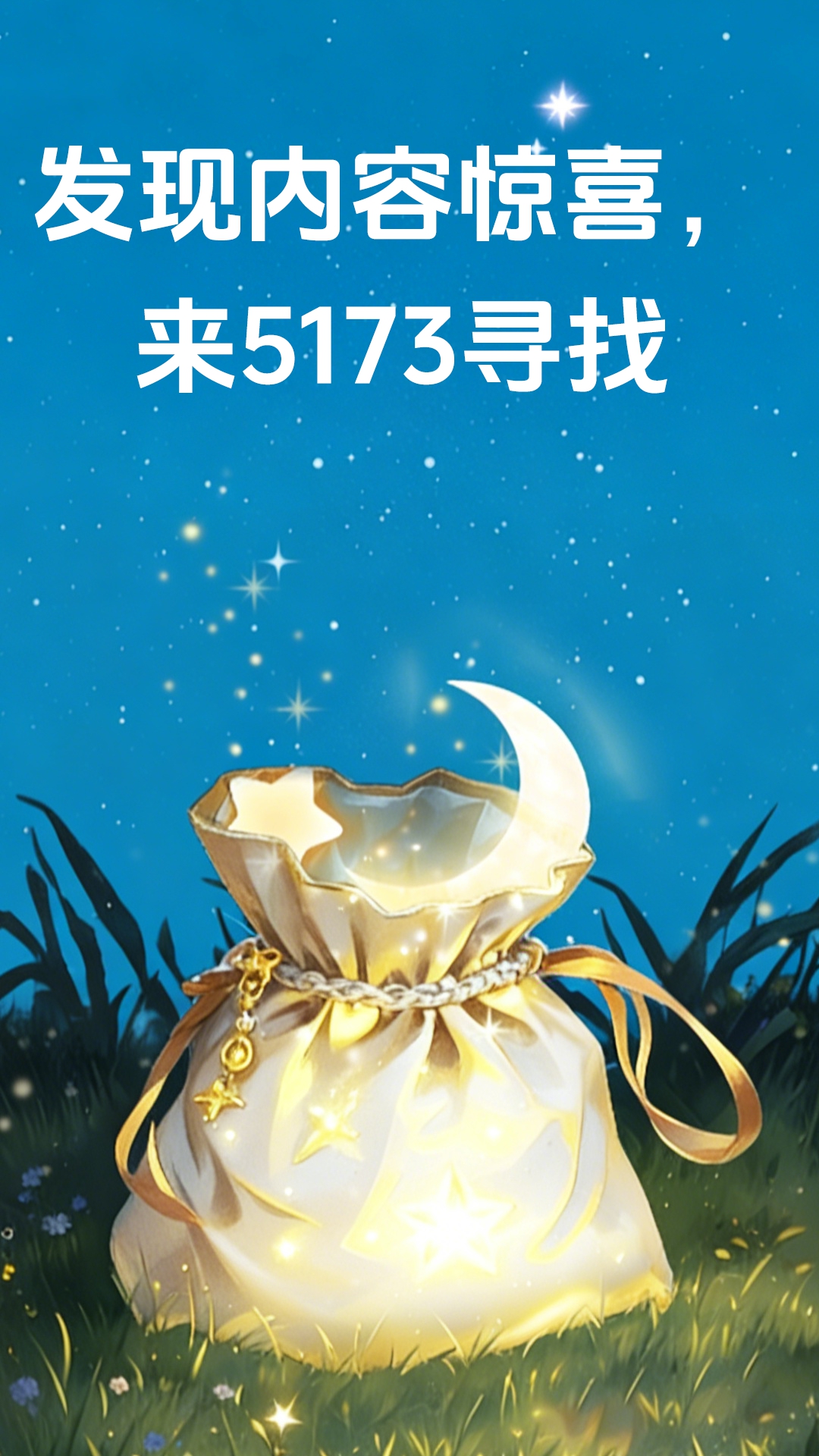 5173截图