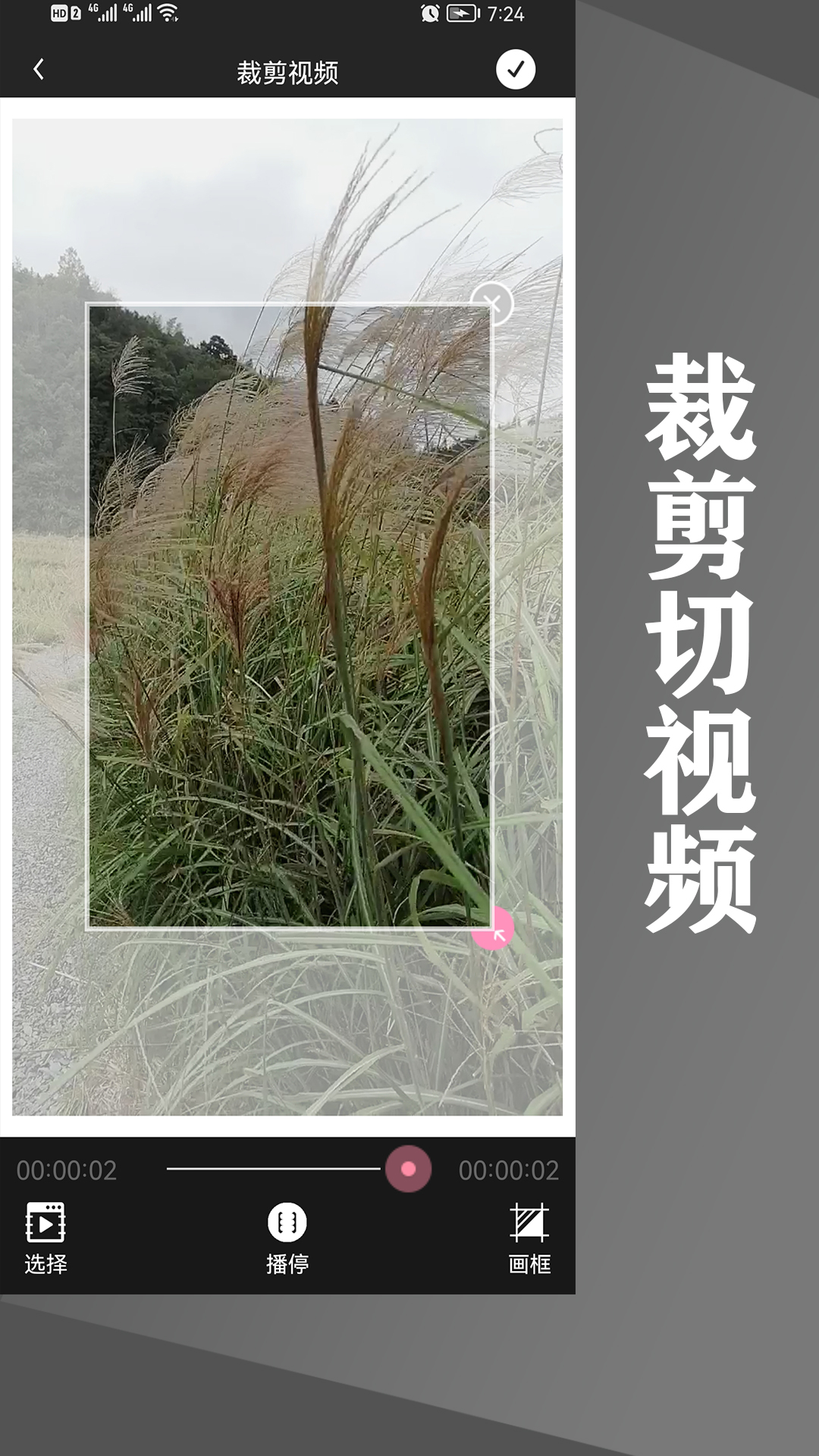 水印王截图