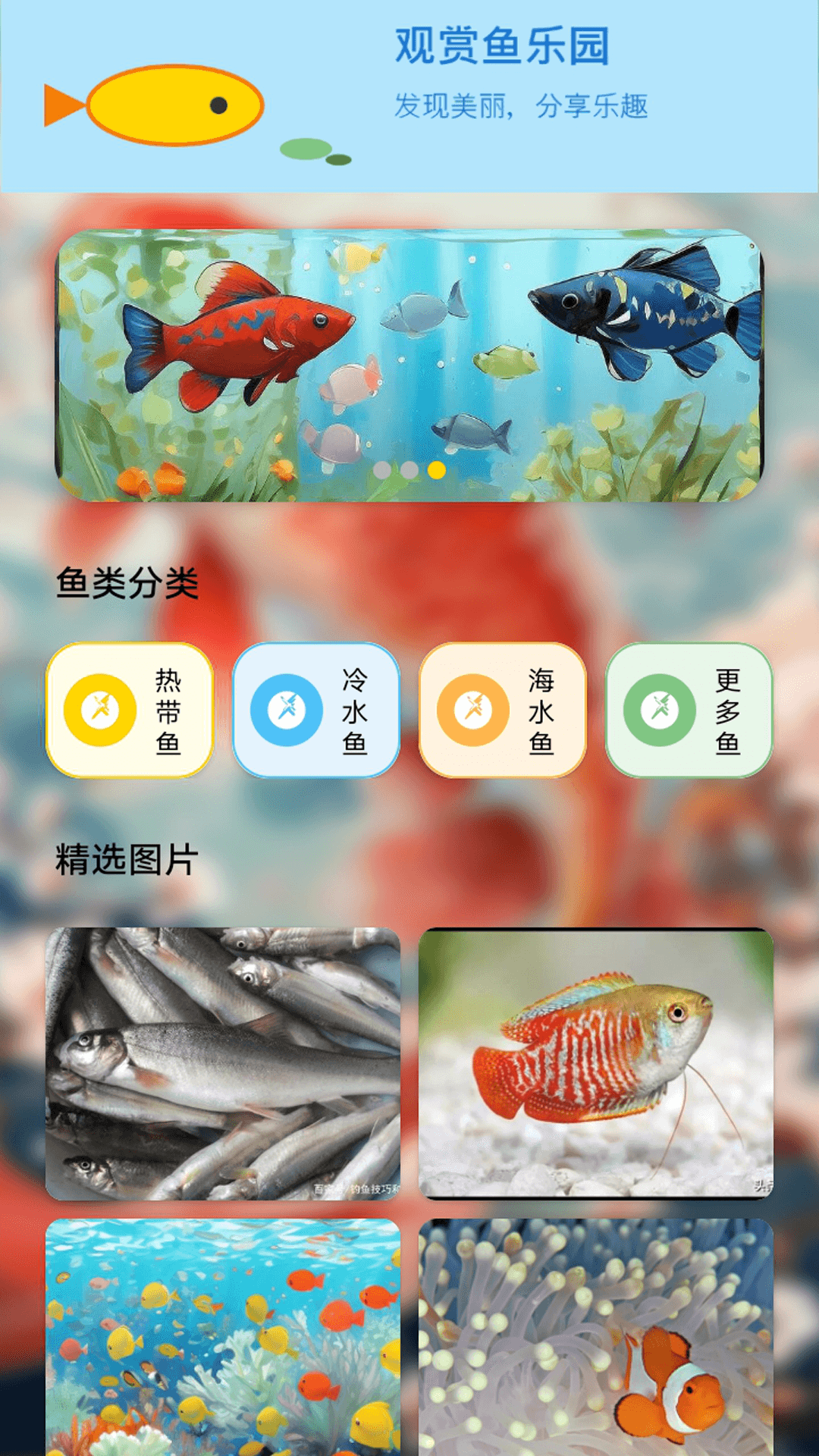 我我是小鱼儿截图