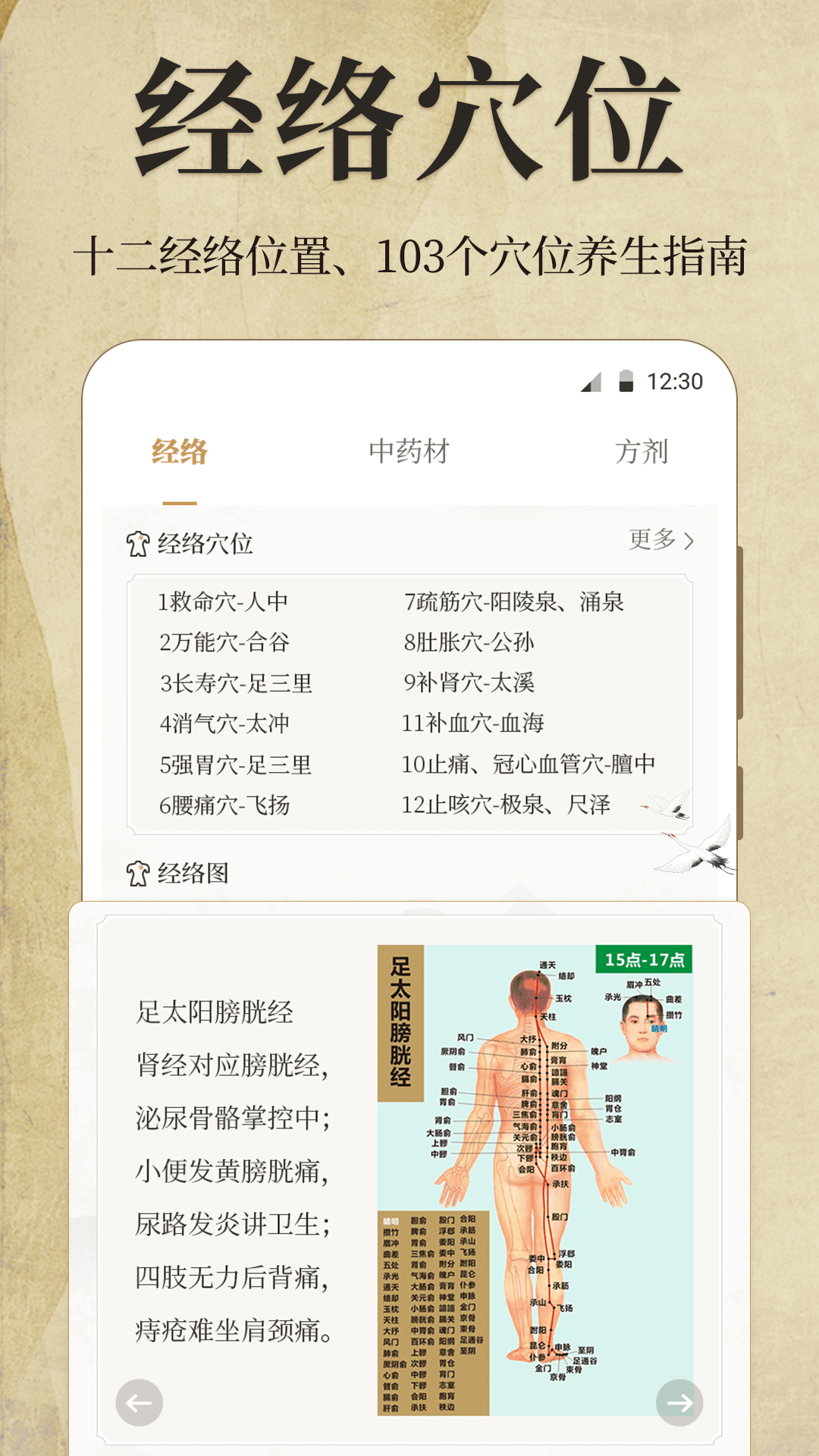 中医iBody经络穴位截图