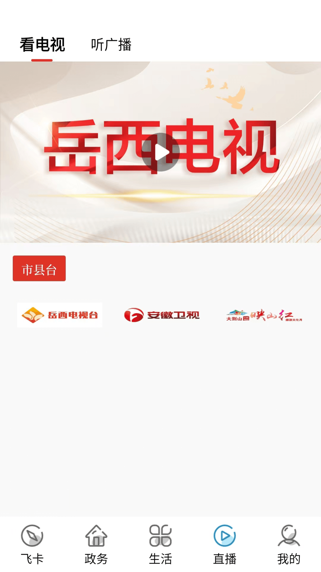 岳西通官方版截图