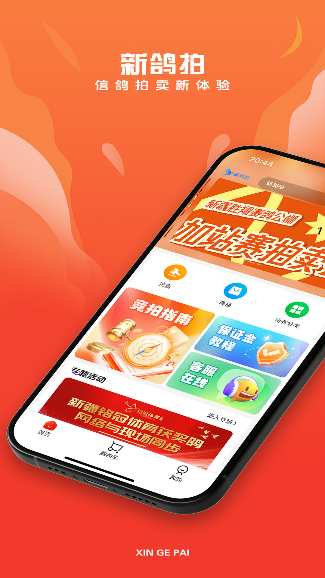 新鸽拍截图