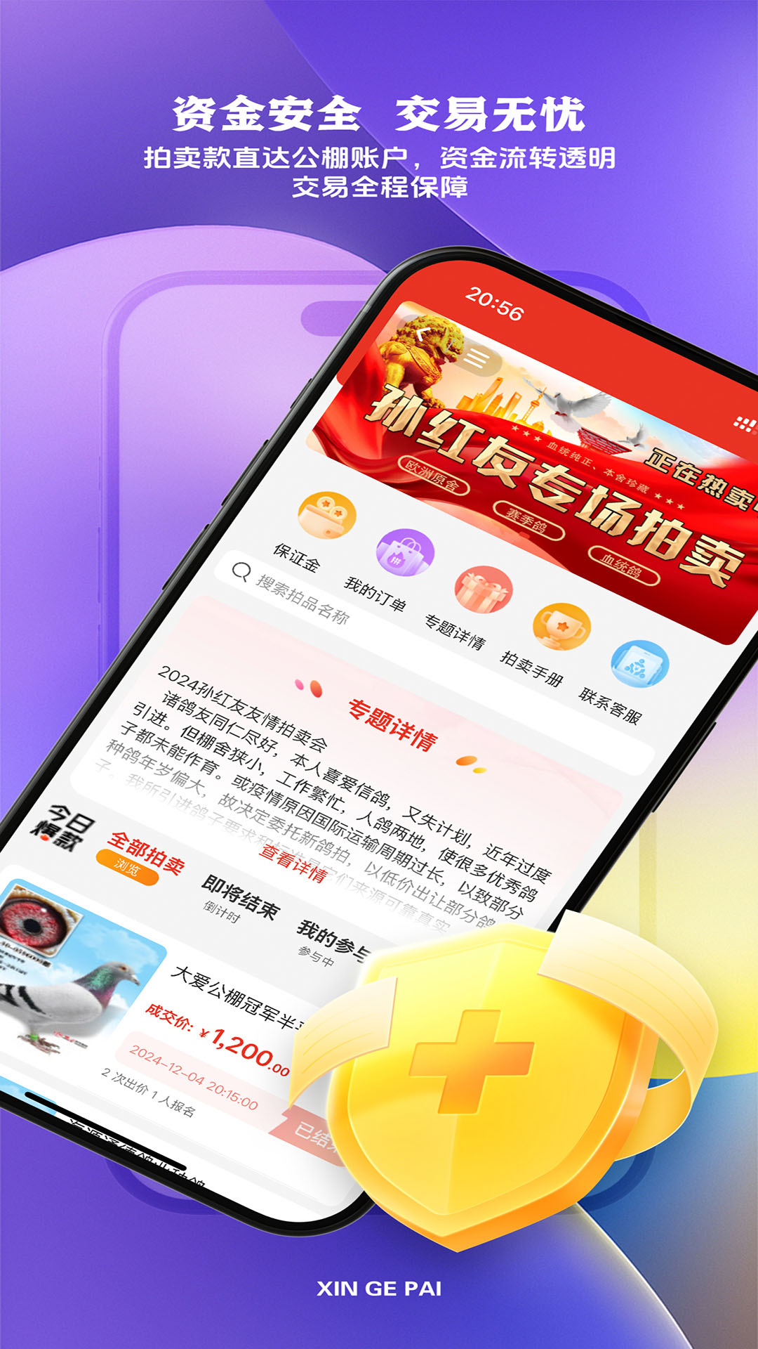 新鸽拍截图