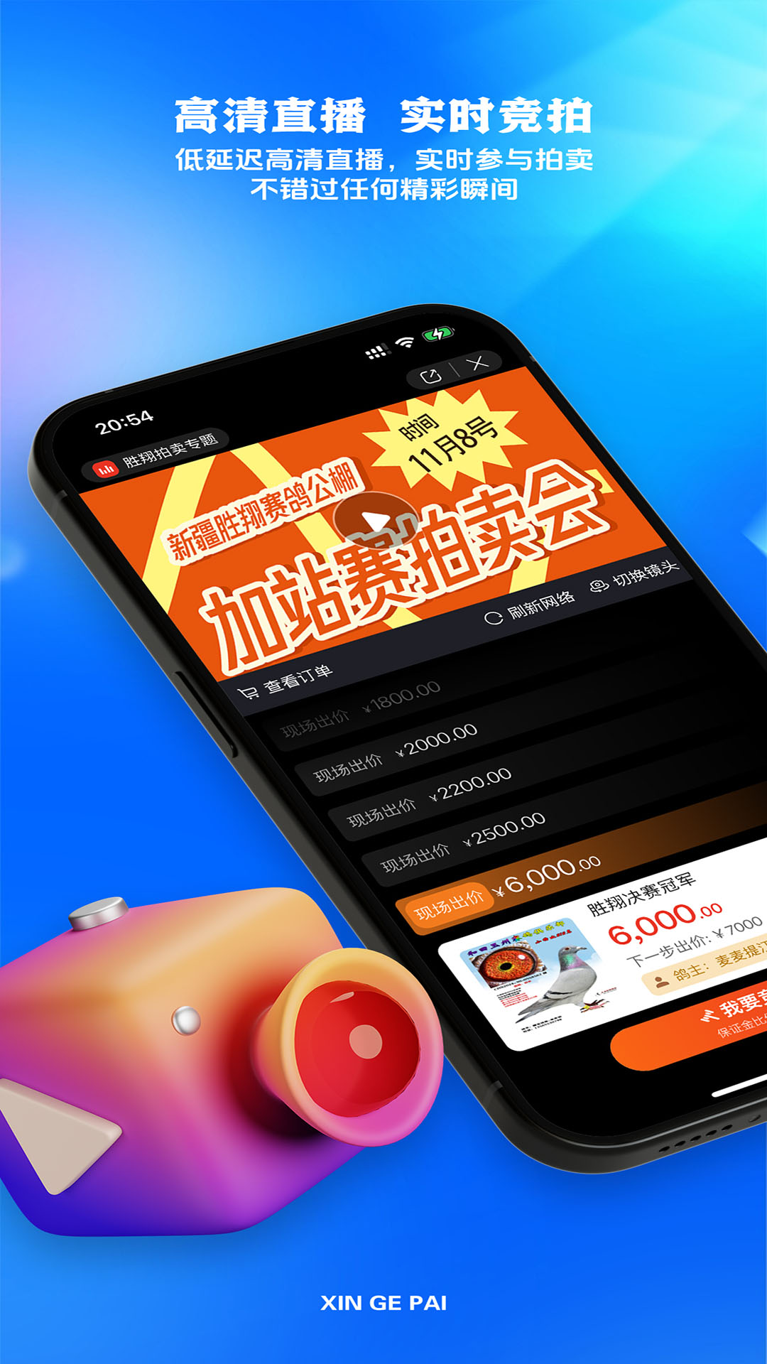 新鸽拍截图