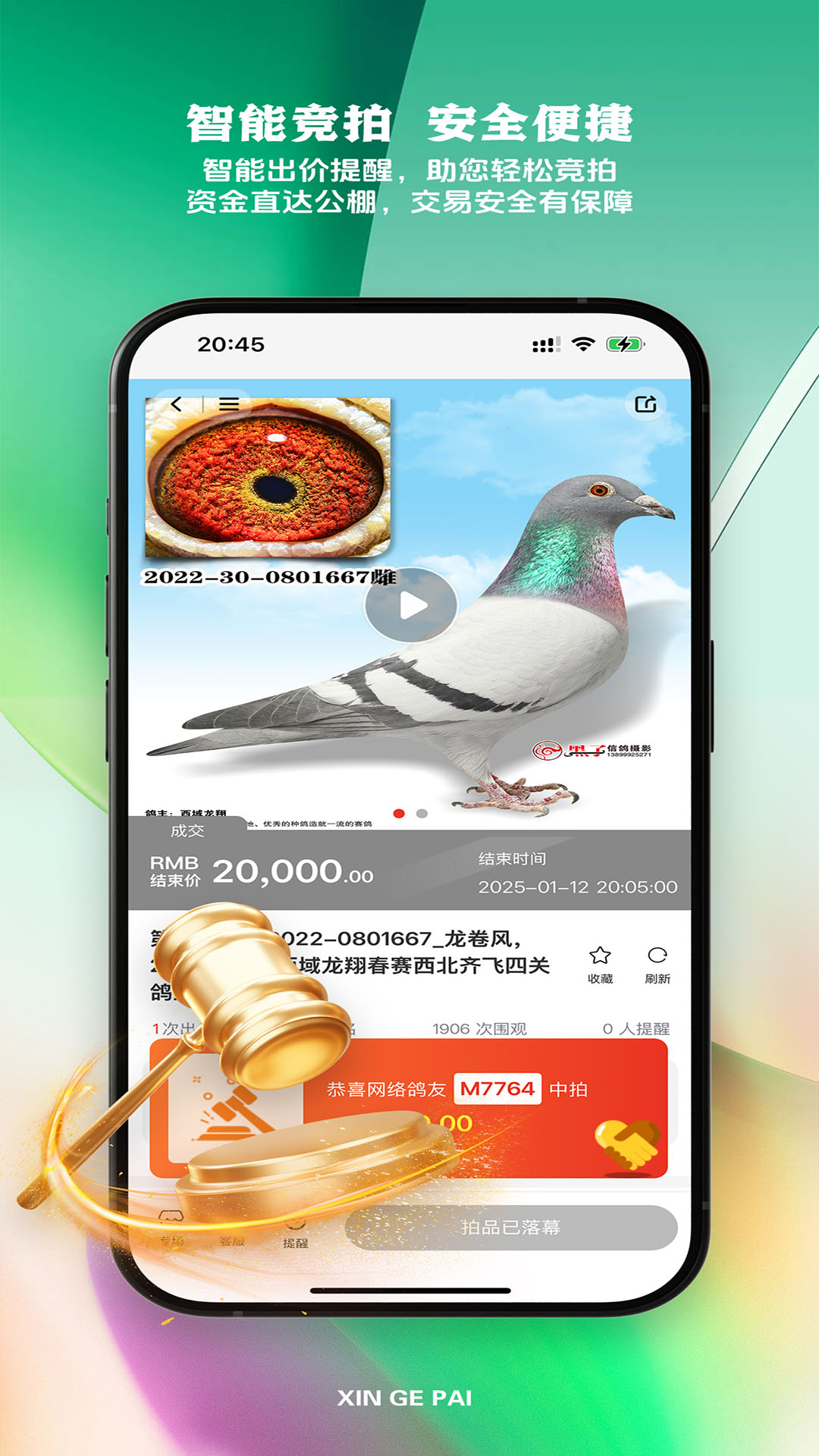 新鸽拍截图