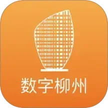 数字柳州电脑版