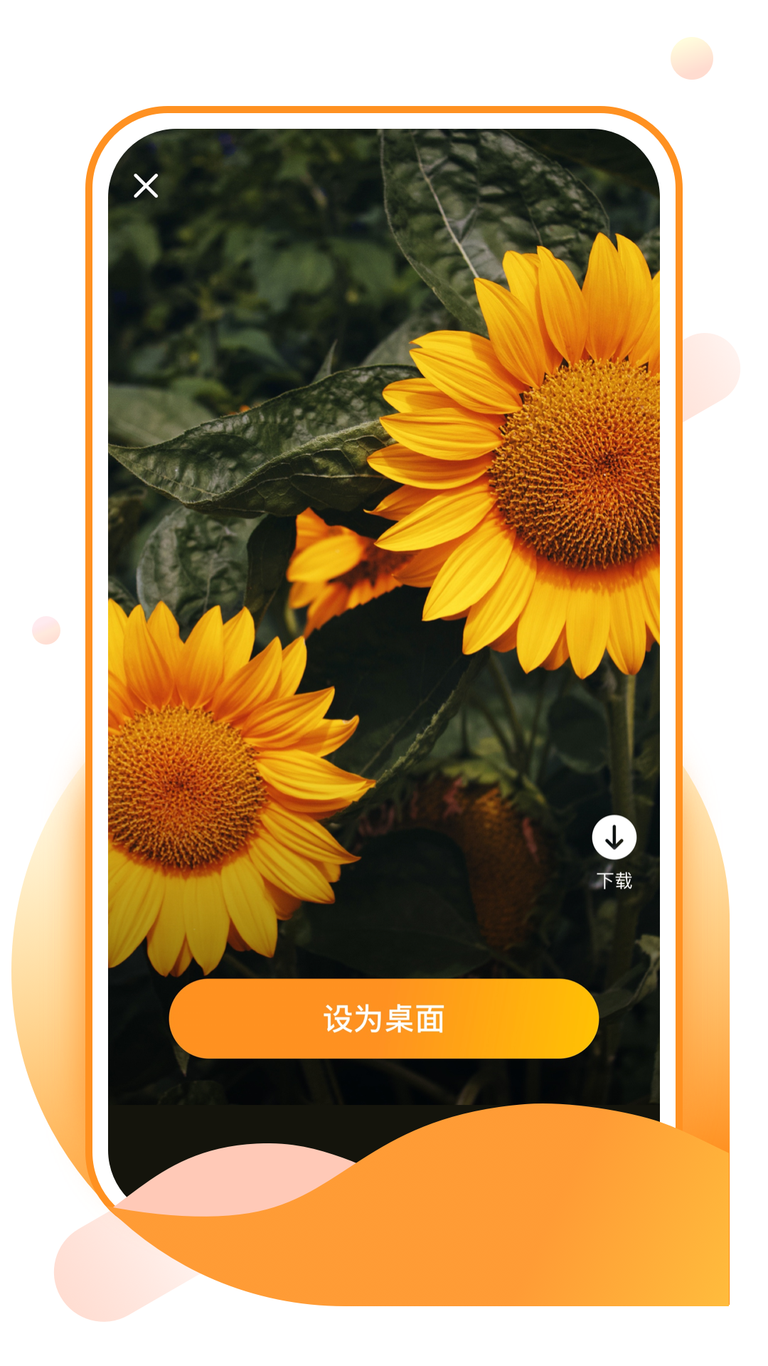 元气手机壁纸截图