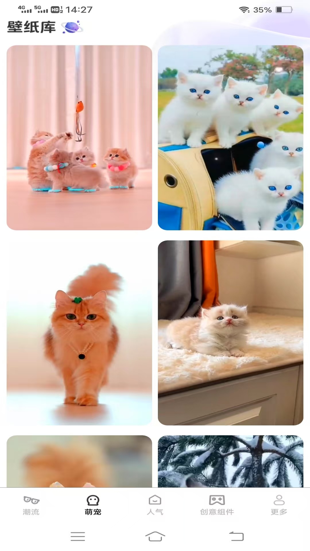 元气多多壁纸截图