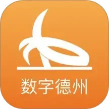 数字德州电脑版