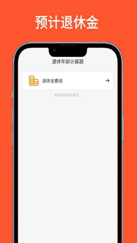 退休年龄计算器截图