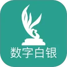 数字白银电脑版