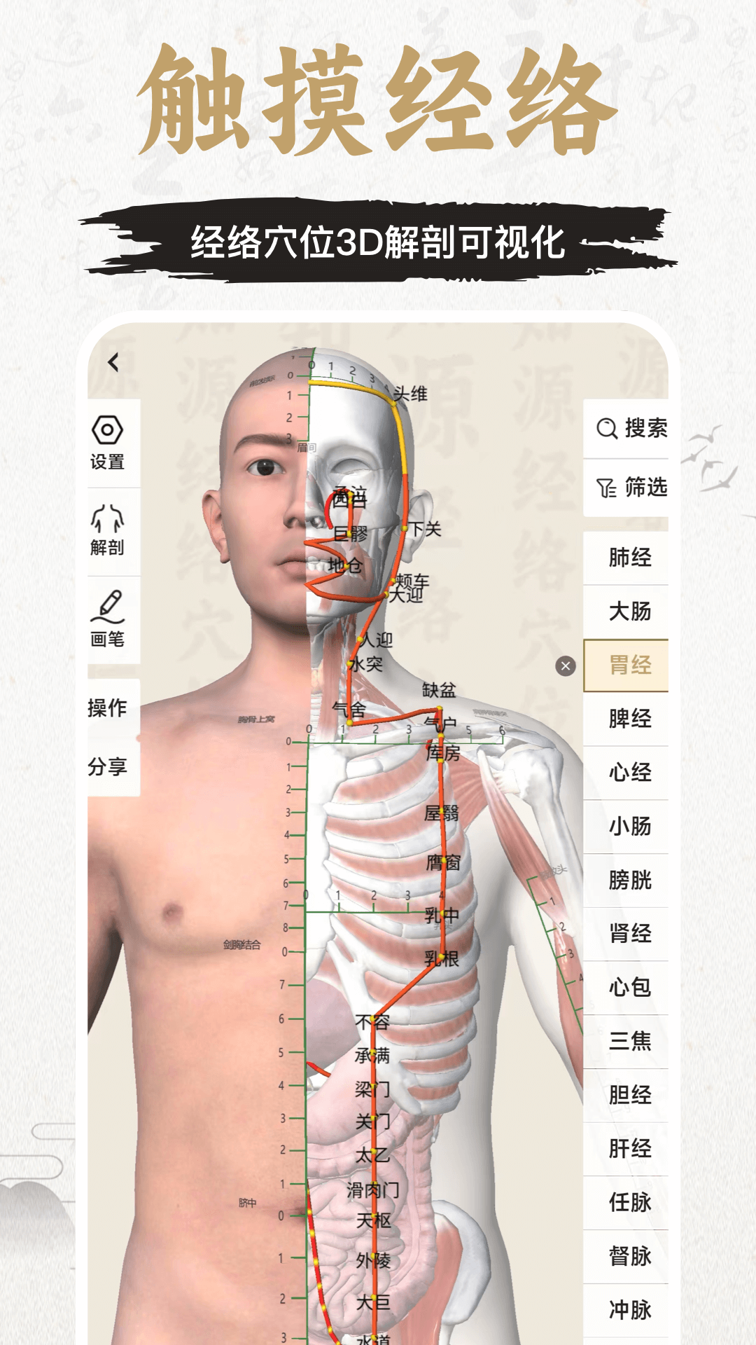 中济经络穴位截图