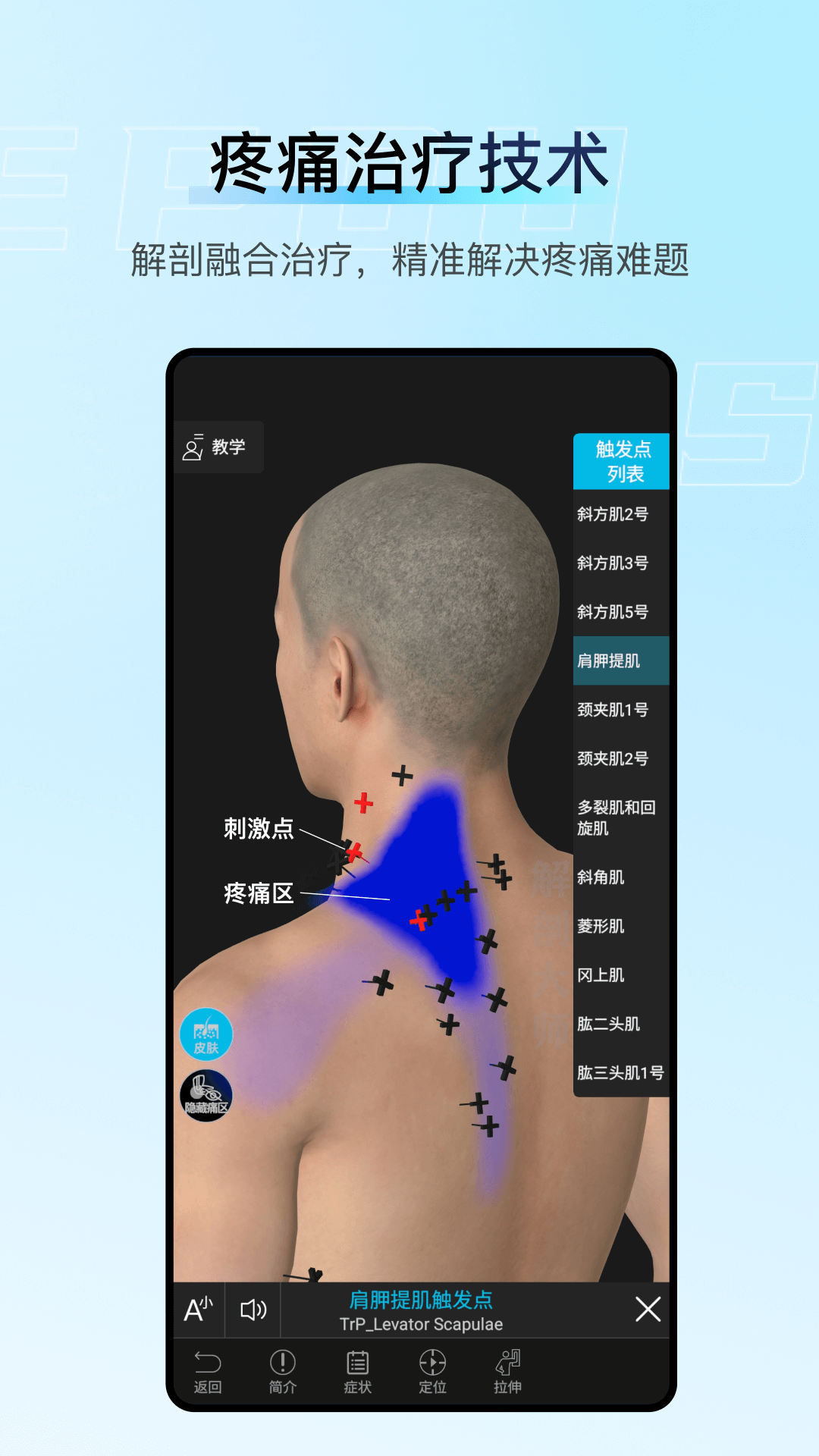 解剖大师截图