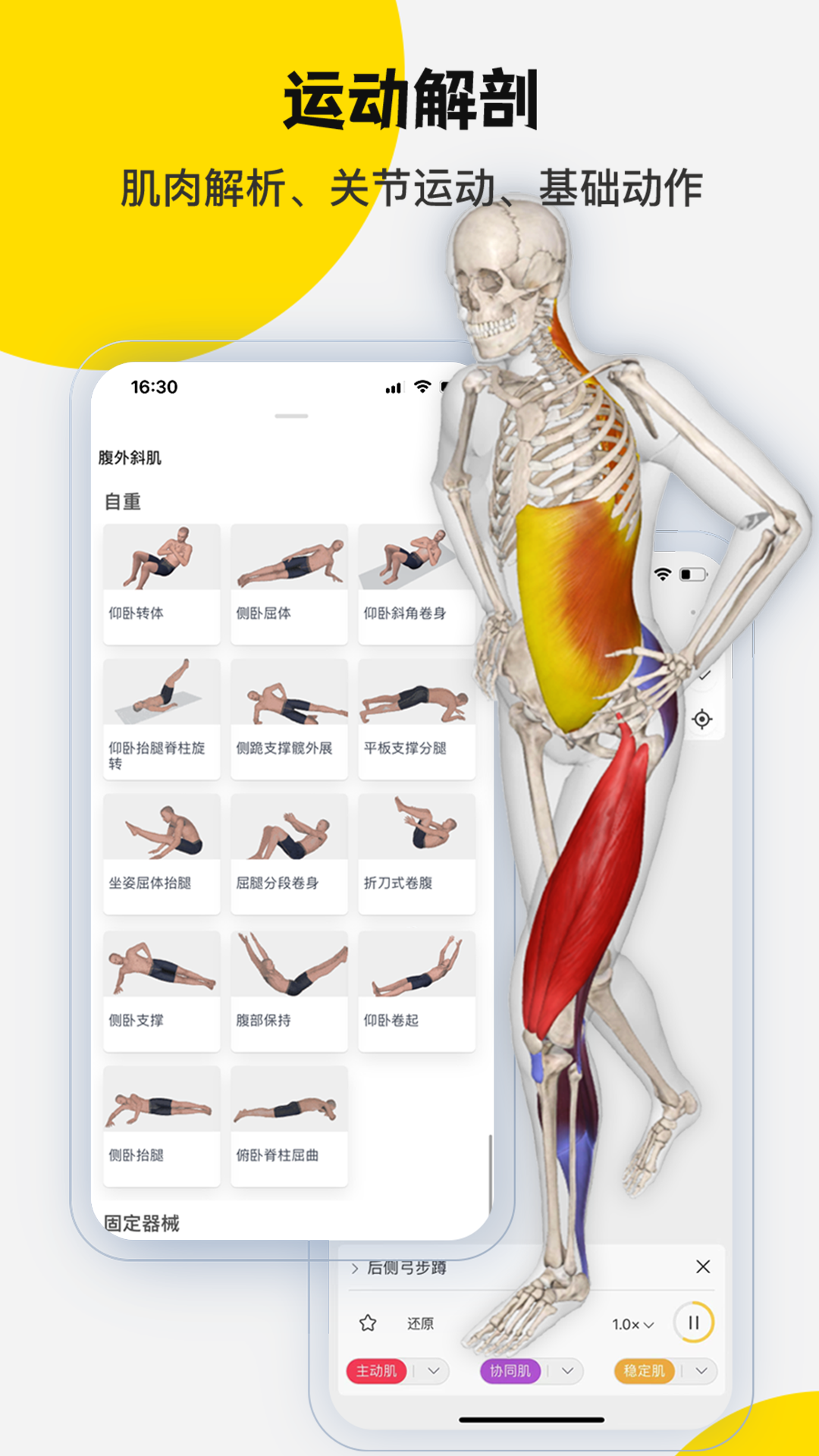 3dbody解剖学专业版截图
