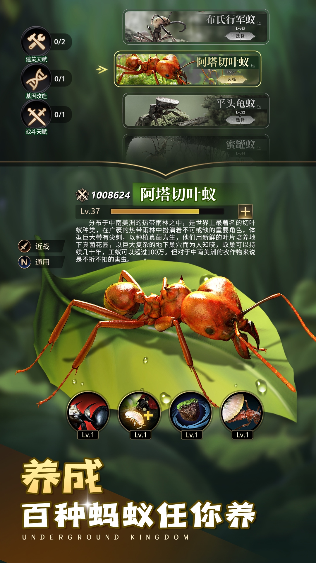 小小蚁国：送648元金甲蚁截图