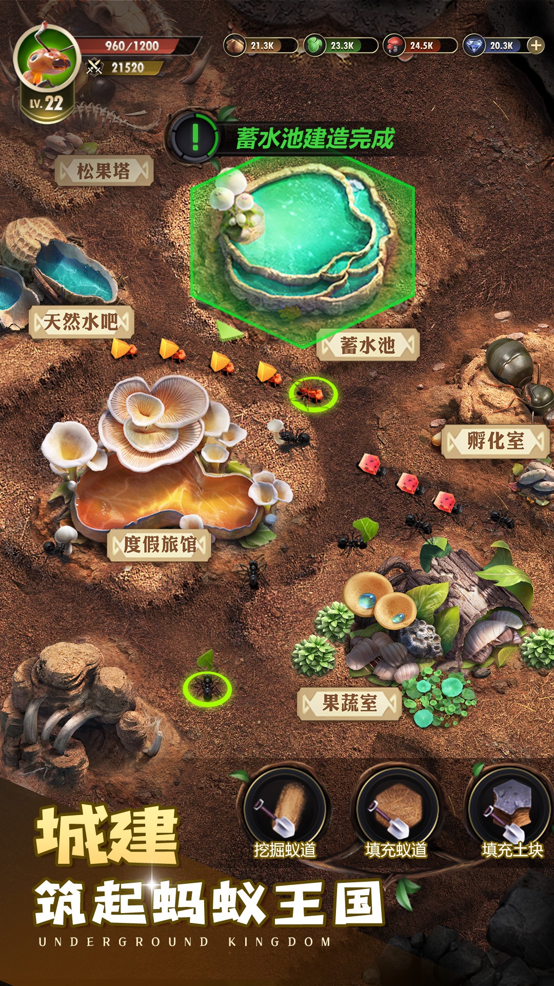 小小蚁国：送648元金甲蚁截图