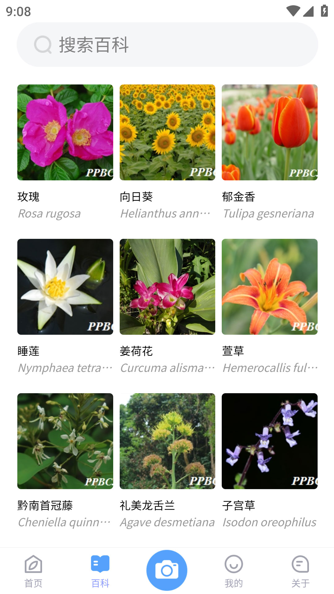 截图