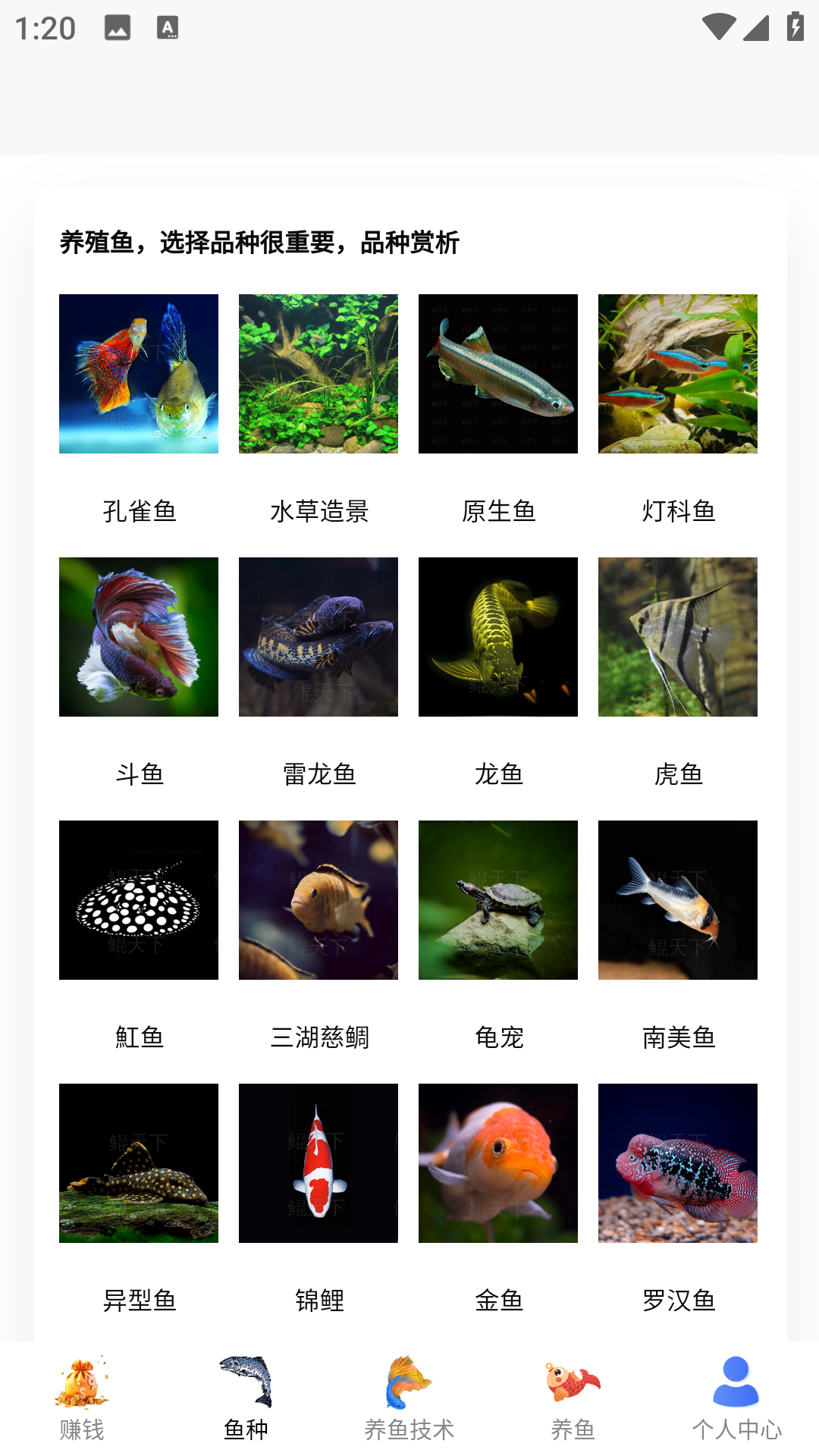 兼职养鱼赚钱截图