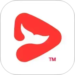 锦书在线电脑版