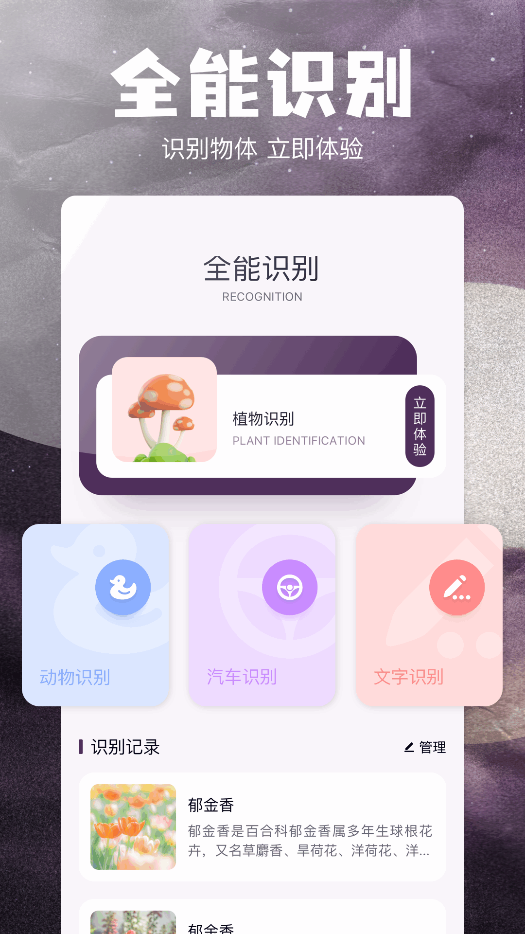 stream截图