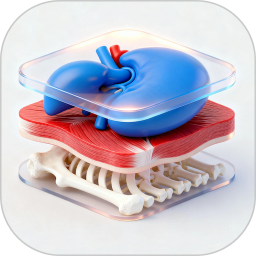 解剖图谱电脑版