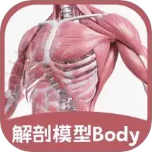解剖模型Body电脑版