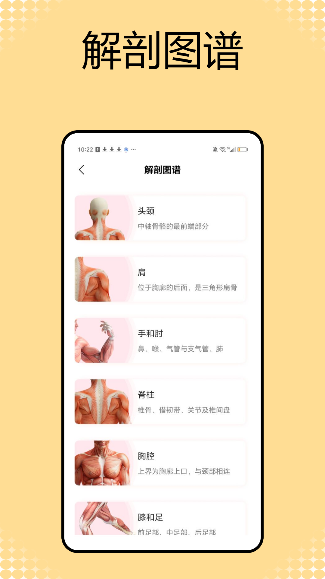 解剖和生理学截图