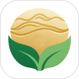 金玉满堂健康电脑版