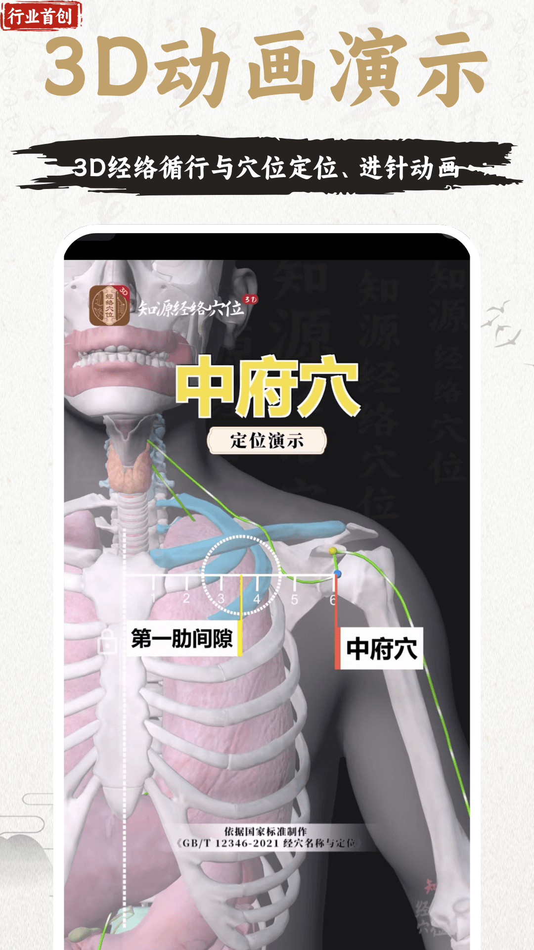中济经络穴位截图