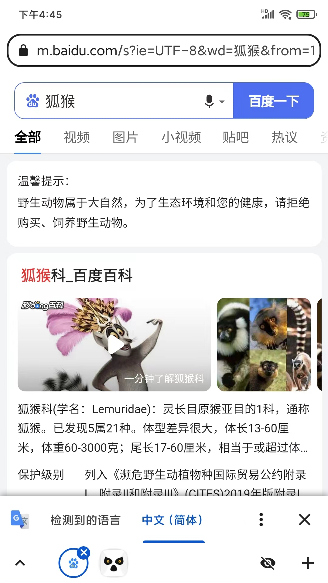 狐猴浏览器截图