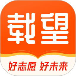 载望志愿电脑版