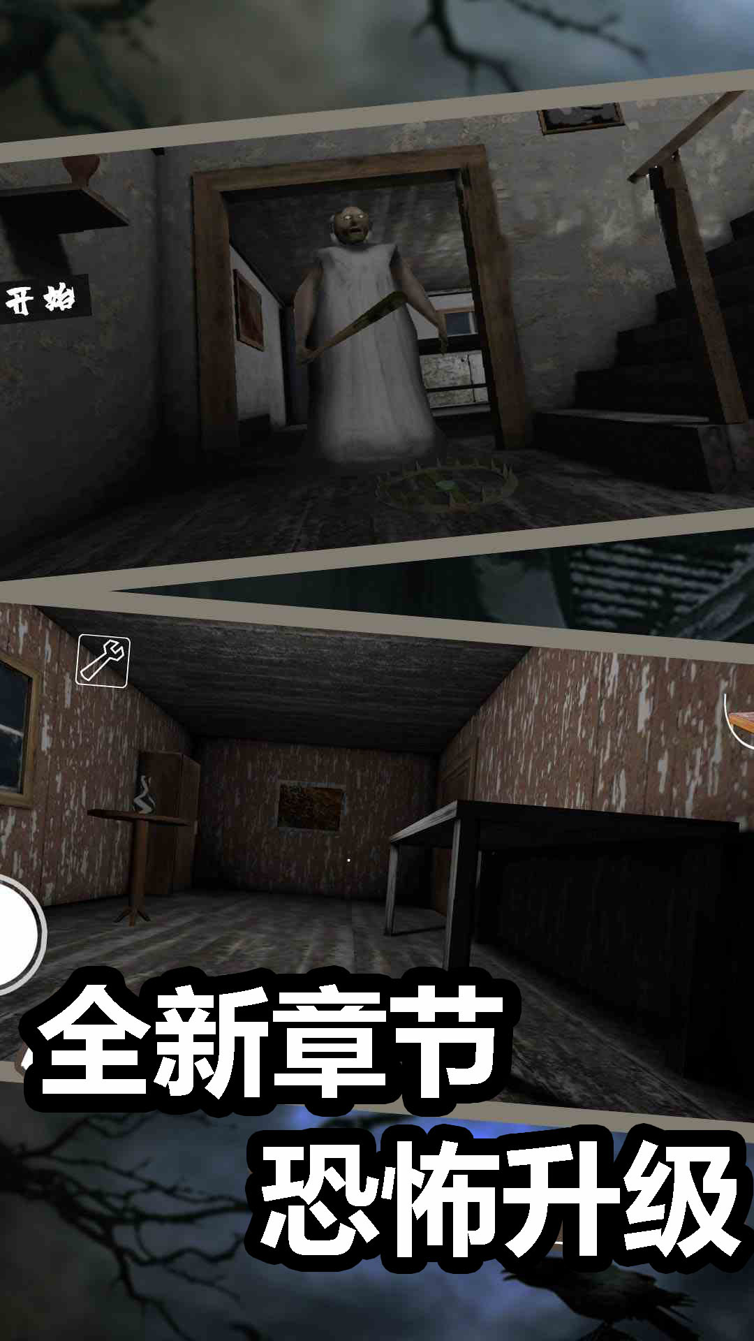 恐怖奶奶截图