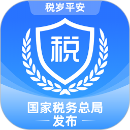 电子税务局电脑版