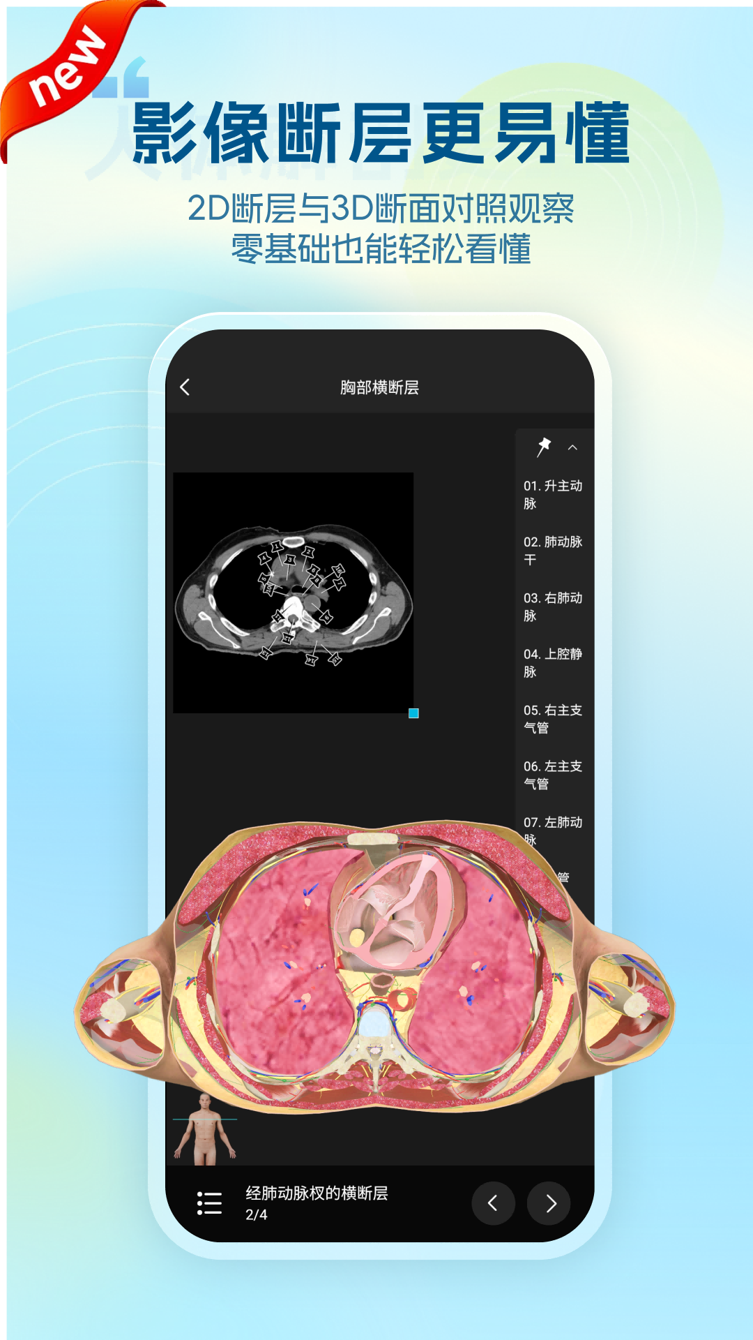 维萨里3D解剖教学截图
