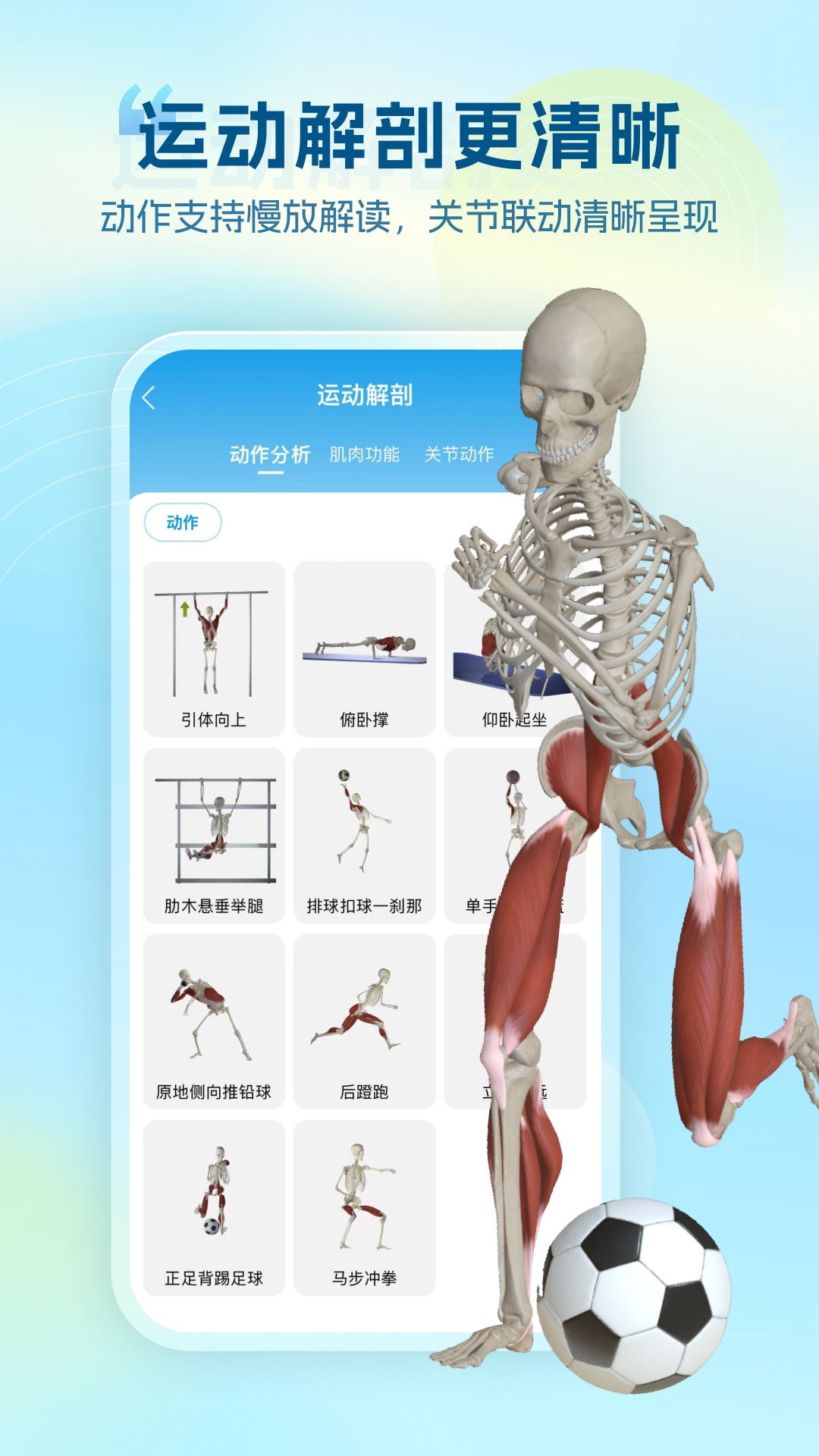 维萨里3D解剖教学截图