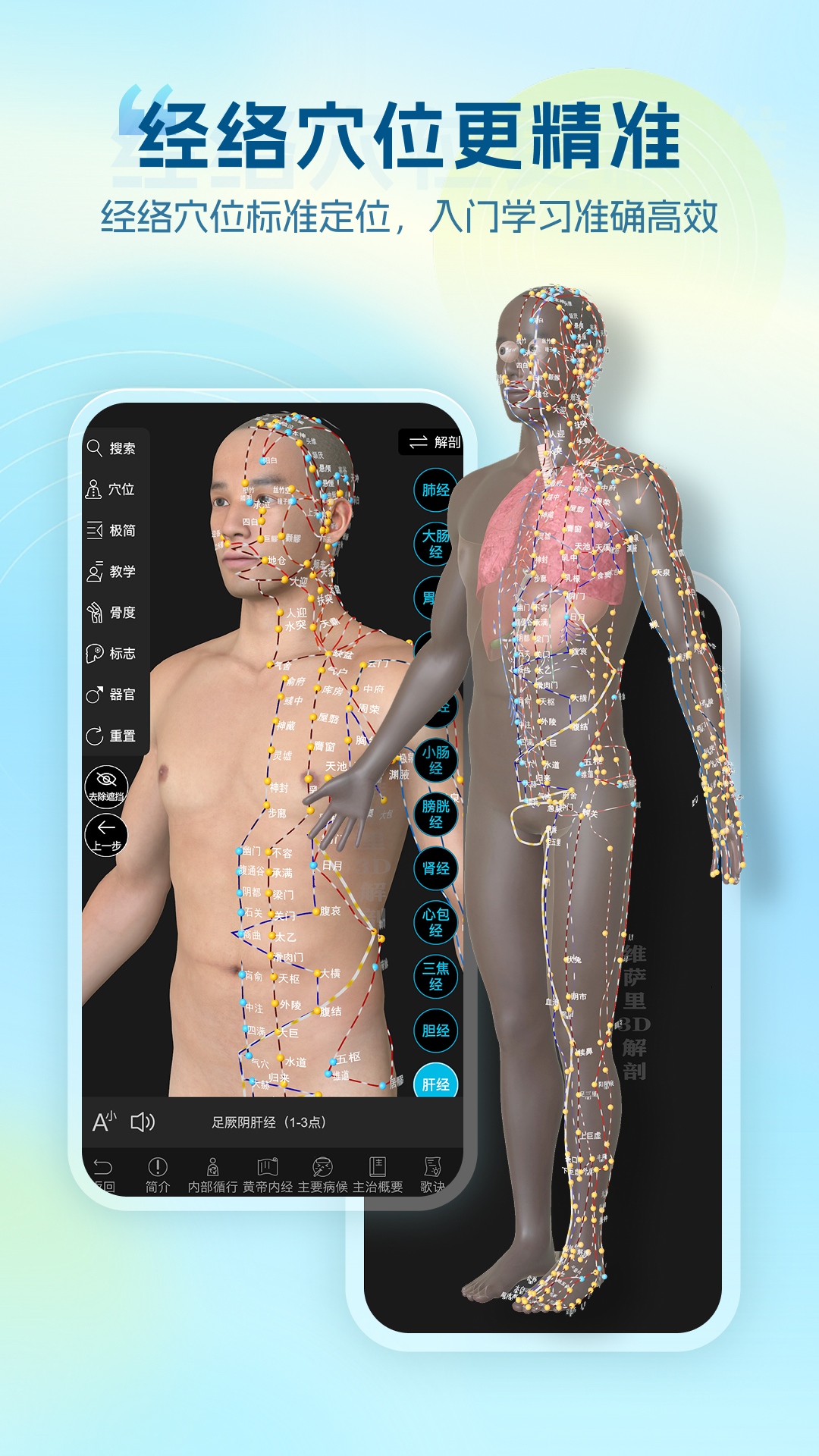 维萨里3D解剖教学截图