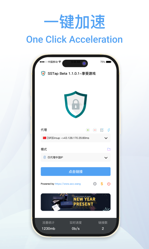 SSTAP截图