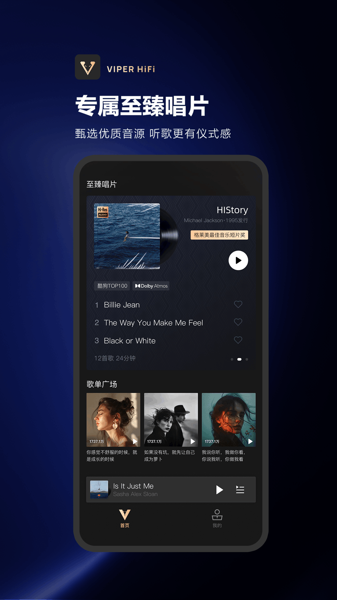 VIPER HiFi截图