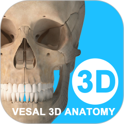维萨里3D解剖教学电脑版