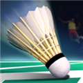 realbadminton