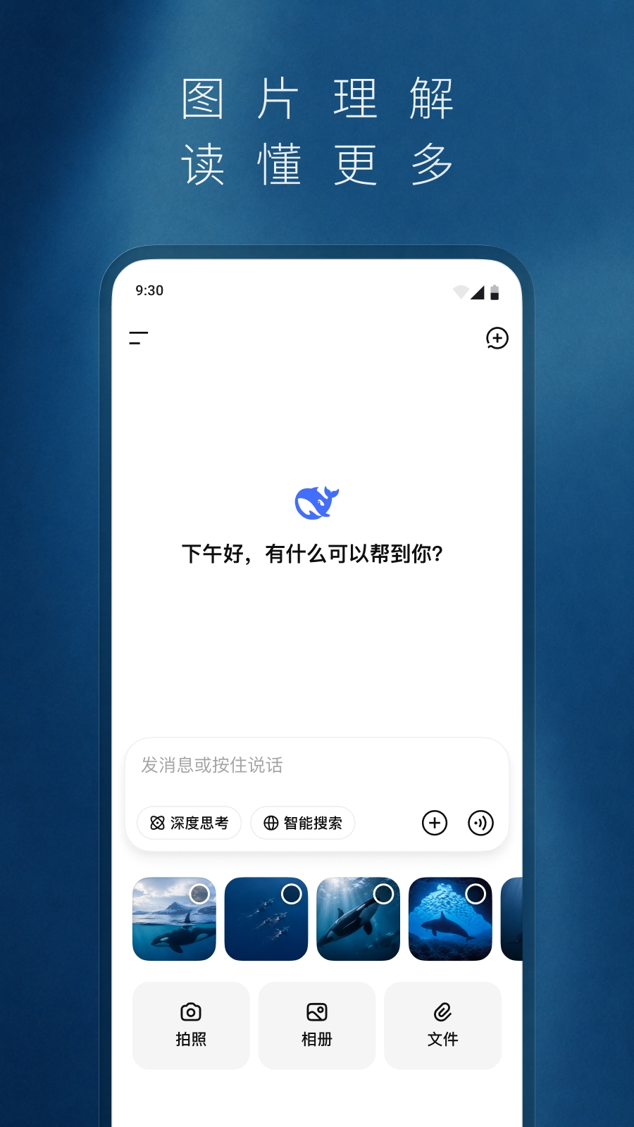 DeepSeek截图