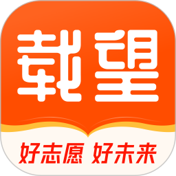 载望志愿