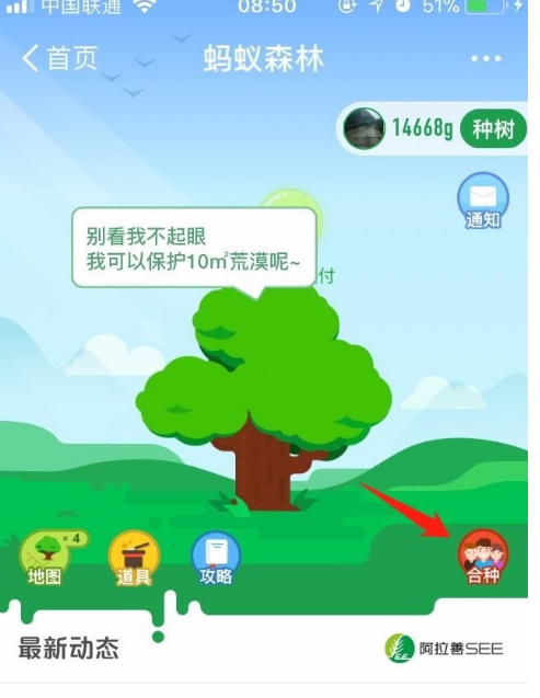退出支付宝蚂蚁森林合种树功能的具体步骤