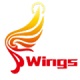 Wings测试工具