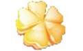 iLike Flash Gallery Creator Deluxe